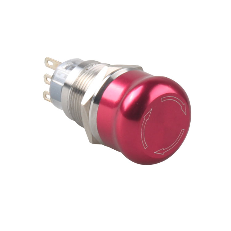 GL-19Z11-AJ 19 mm wasserdichter Metall-Drucktastenschalter, LED-Licht, kurzzeitig, verriegelnd, 6 V, 12 V, 24 V, 220 V, Rot, Blau
